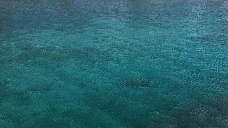 Unternehmer Coach Mallorca - Blaues Meer - klares Wasser